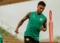 Infirmerie des Lions - Touché au genou, Jakobs incertain contre la Mauritanie - wiwsport