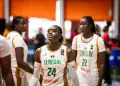 Basket – Eliminatoires Coupe du monde Féminine 2026 : Les Lionnes dans un groupe relevé avec les États-Unis, l&rsquo;Italie, l&rsquo;Espagne…