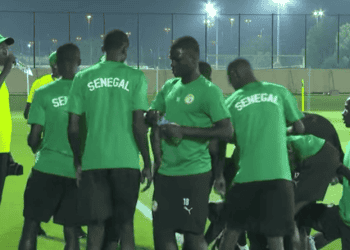 Coupe du Monde U17 : Les Lionceaux effectuent leur première séance d’entraînement à Doha - wiwsport