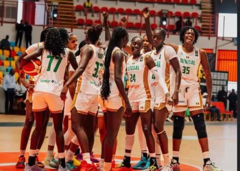 Basket : Sélectionneur des Lionnes, quatre prétendants pour le banc - wiwsport