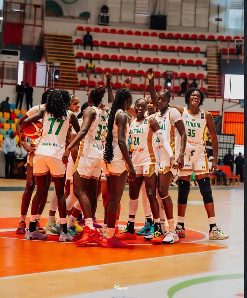 Basket : Sélectionneur des Lionnes, quatre prétendants pour le banc - wiwsport