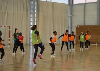 Handball : La Fédération fait le point sur les échéances internationales et la D2 nationale - wiwsport
