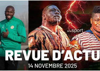 Les Lions en alerte avant le Brésil, Franc vs Tapha Tine : le face-à-face attendu - wiwsport