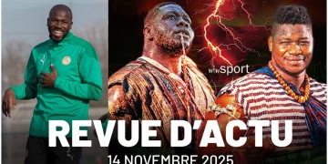 Les Lions en alerte avant le Brésil, Franc vs Tapha Tine : le face-à-face attendu