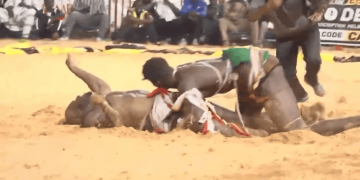 Lamb : Revivez en vidéo la victoire de Prince sur Mor Kang Kang - wiwsport