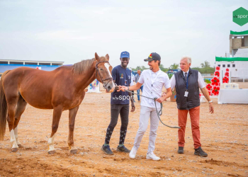 Finale FEI Jumping World Challenge : 16 cavaliers en piste à partir de jeudi ! - wiwsport