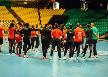 Handball - Coupe du monde Féminin : Un groupe expérimenté et équilibré des Lionnes pleines d’ambitions - wiwsport