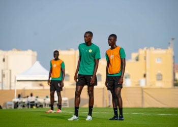 Coupe du Monde U17 - Où suivre les matchs des Lionceaux ? - wiwsport