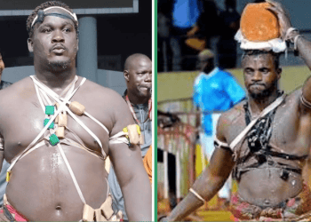 Lamb - Fils de Balla/Thiatou Yoff ficelé par Albourakh Events pour le 1er février 2026 - wiwsport