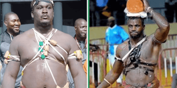 Lamb – Fils de Balla/Thiatou Yoff ficelé par Albourakh Events pour le 1er février 2026