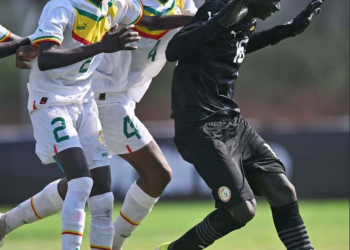 UFOA-A U15 : le calendrier complet des Lionceaux et Lioncelles dévoilé - wiwsport