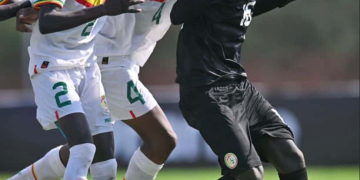 UFOA-A U15 : le calendrier complet des Lionceaux et Lioncelles dévoilé
