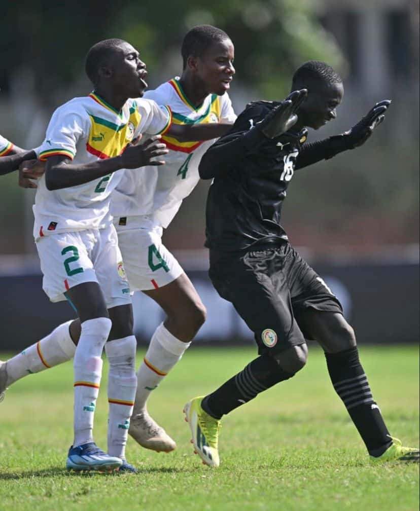 UFOA-A U15 : le calendrier complet des Lionceaux et Lioncelles dévoilé - wiwsport UFOA-A U15 : le calendrier complet des Lionceaux et Lioncelles dévoilé - wiwsport