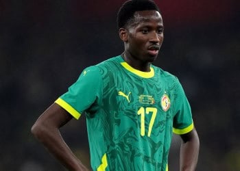 Tottenham : Sorti sur blessure contre le Brésil, Pape Matar Sarr apte pour le derby contre Arsenal - wiwsport