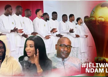#JëliwaatNdamLi : Suivez en direct les dernières infos de la Tanière - wiwsport
