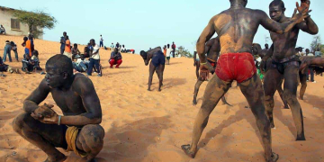 Lamb - Fédération Sénégalaise de Lutte (FSL) : La liste provisoire des candidats dévoilée, une seule femme en lice ! - wiwsport