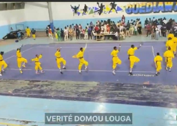 1er édition de la Coupe Élite Kung-Fu Wushu : Louga et Yeumbeul à l’honneur - wiwsport