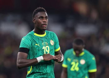 Moussa Niakhaté : « Je priais pour un France - Sénégal... On n'a peur de rien, on est des Lions » - wiwsport
