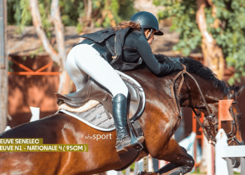 LIVE - Equitation : Suivez en direct le CSO Ecuries Hann Marinas - wiwsport