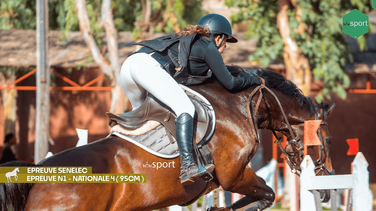 LIVE - Equitation : Suivez en direct le CSO Ecuries Hann Marinas - wiwsport