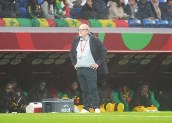 Tom Saintfiet : « J’ai bien dit hier que le Sénégal est l’une des plus grandes équipes d'Afrique, et on a vu ça aujourd’hui » - wiwsport
