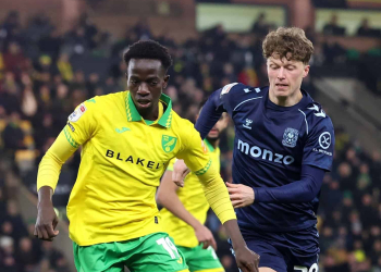Championship : Norwich renverse le leader Coventry, Pape Amadou Diallo décisif - wiwsport