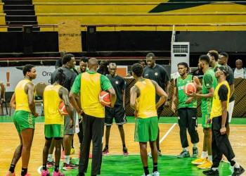 Éliminatoires CDM 2027 - Les Lions démarrent la préparation avec 10 joueurs présents et deux forfaits ! - wiwsport