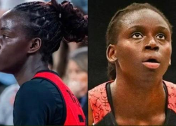Basket : Les Lionnes d’Europe en démonstration ce week-end - wiwsport