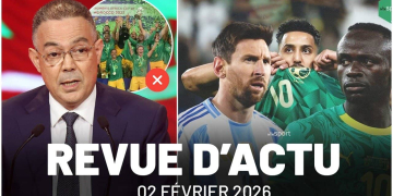 Matchs amicaux pour les Lions en mars ? Can féminine 2026 : flou autour de l'organisation - wiwsport