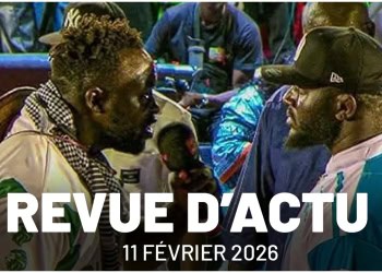 FSL : Reprise autorisée des face-à-face et open-press, Résultats des Lions : séries noires - wiwsport