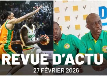 QCMD 2027 FIBA : Faux départ pour les Lions, FSF : le futur DTN en approche - wiwsport