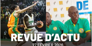QCMD 2027 FIBA : Faux départ pour les Lions, FSF : le futur DTN en approche - wiwsport