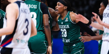 Basket – Qualifications Coupe du Monde Féminine : Le Nigeria chute face à la Corée du Sud 77‑60 - wiwsport