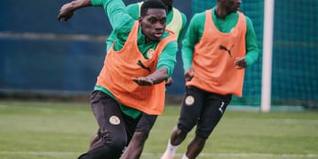 Équipe Nationale : Les Lions au complet pour leur deuxième séance avant le Pérou - wiwsport