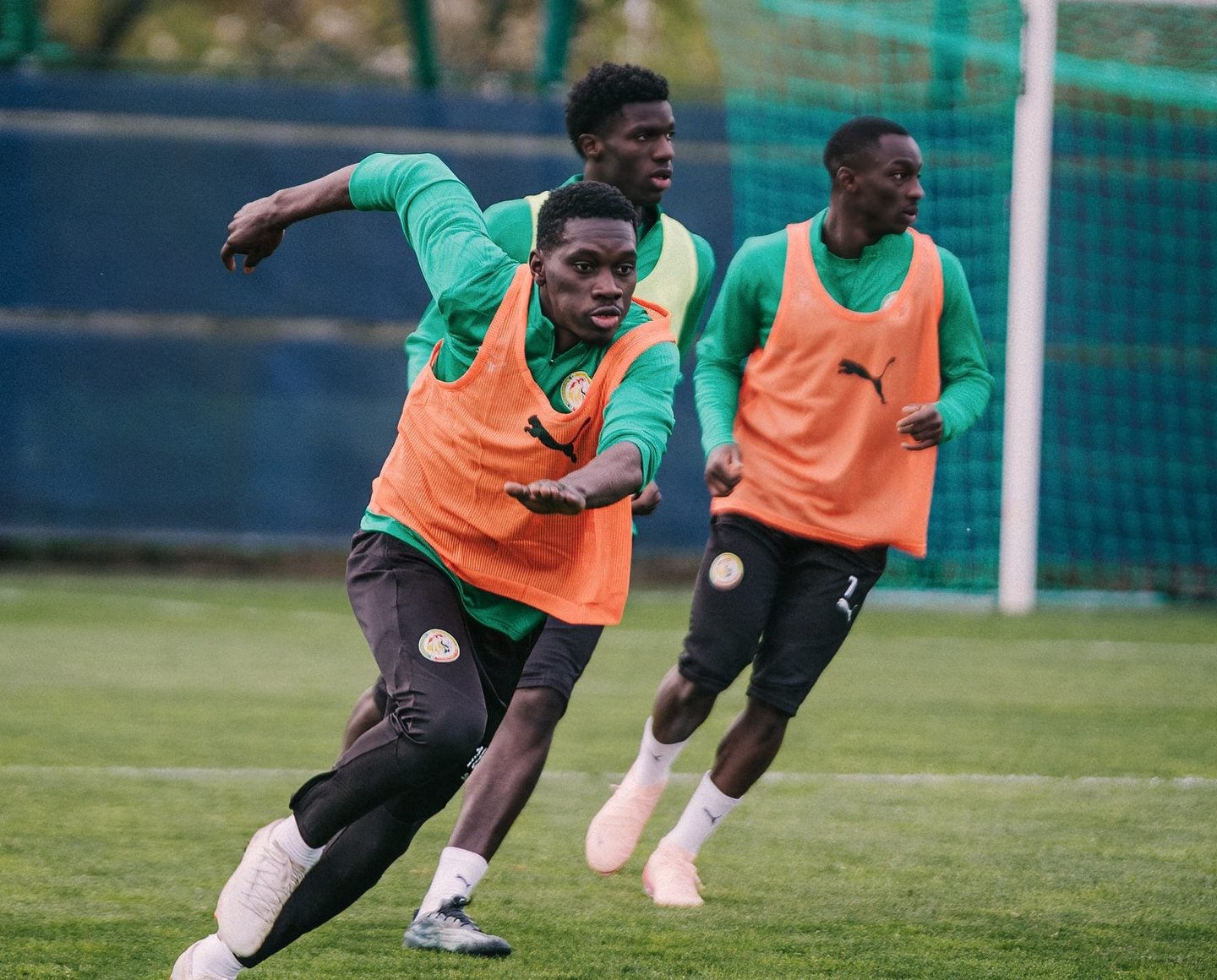 Équipe Nationale : Les Lions au complet pour leur deuxième séance avant le Pérou - wiwsport