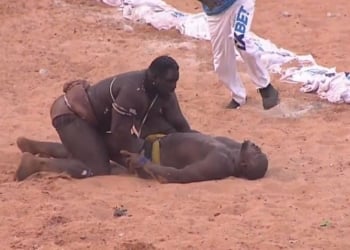 Urgent - (Vidéo) Sa Thiès terrasse Modou Lo et décroche la couronne du Roi des arènes ! - wiwsport
