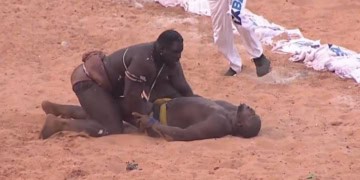 Urgent - (Vidéo) Sa Thiès terrasse Modou Lo et décroche la couronne du Roi des arènes ! - wiwsport