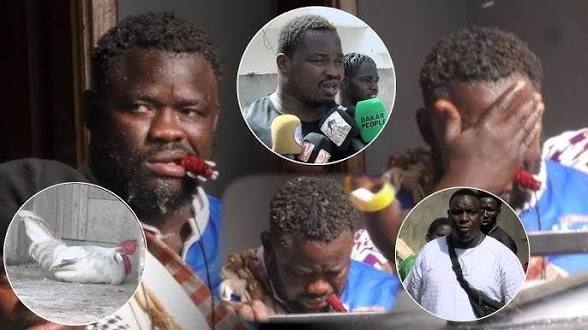 Lamb - LIVE : Suivez Eumeu Sène dans son fief avant son départ vers l’Arène nationale ! - wiwsport