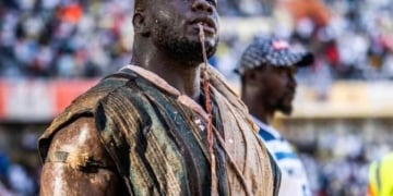 Le plan de Aziz Ndiaye pour Franc : « Il y’a un blocage pour Franc v Balla Gaye, on peut organiser le combat Siteu v Franc et le vainqueur … » - wiwsport