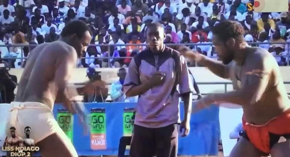 Lamb : Papa Boy Djiné et Narou Sogas font match nul !