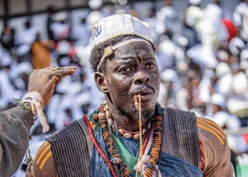 Lamb : Balla Gaye et Modou Lô hors de portée, Diop 2 va-t-il devoir s’aguerrir face à d’autres jeunes loups avant de sauter le pas ?