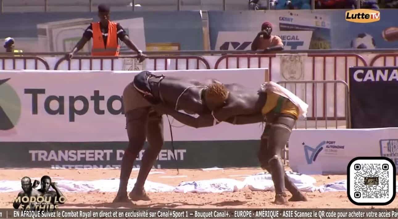 Plus solide, Fils de Doudou Yaye Katy domine Mama Lamine Jr ! - wiwsport Screenshot