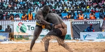 Lamb - Bira Sène se réjouit du partenariat avec Canal + : « L’audience du combat royal se situe juste derrière celle de la CAN…» - wiwsport