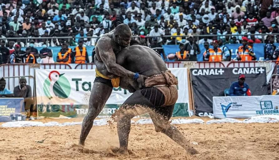 Lamb - Bira Sène se réjouit du partenariat avec Canal + : « L’audience du combat royal se situe juste derrière celle de la CAN…» - wiwsport Lamb - Bira Sène se réjouit du partenariat avec Canal + : « L’audience du combat royal se situe juste derrière celle de la CAN…» - wiwsport