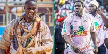 Lamb - Le combat royal Sa Thiès/Ada Fass ficelé par Albourakh pour la saison 2026-2027 - wiwsport