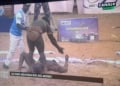Urgent - Sa Thiès terrasse Modou Lo et décroche la couronne du Roi des arènes ! - wiwsport Urgent - Sa Thiès terrasse Modou Lo et décroche la couronne du Roi des arènes ! - wiwsport