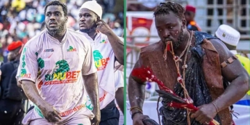 Lamb - Le combat royal Sa Thiès/Siteu ficelé par Albourakh Events pour janvier 2027 ! - wiwsport