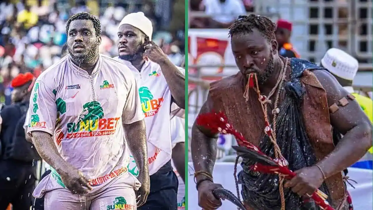 Lamb - Le combat royal Sa Thiès/Siteu ficelé par Albourakh Events pour janvier 2027 ! - wiwsport