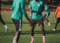 CAN U17 : Les Lions savourent le sacre continental de leurs cadets (vidéo) - wiwsport