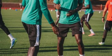 CAN U17 : Les Lions savourent le sacre continental de leurs cadets (vidéo) - wiwsport